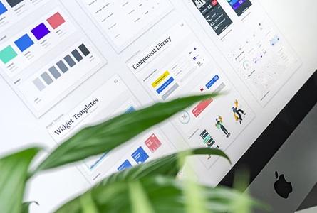 case study visual